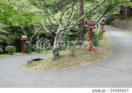 新倉冨士浅間神社の九十九折りの参道 24585927