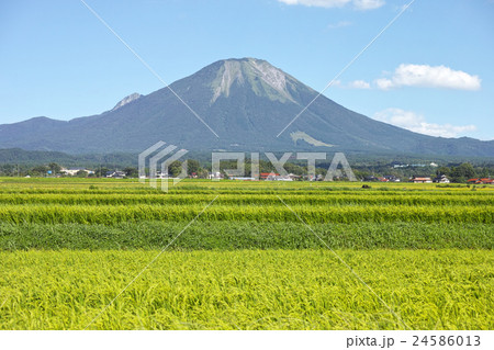 夏の大山　西麓 24586013