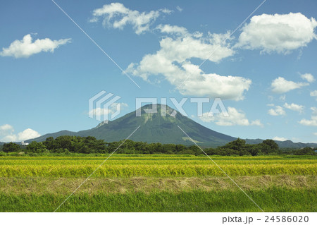 夏の大山 西麓 夏の大山 西麓 24586020