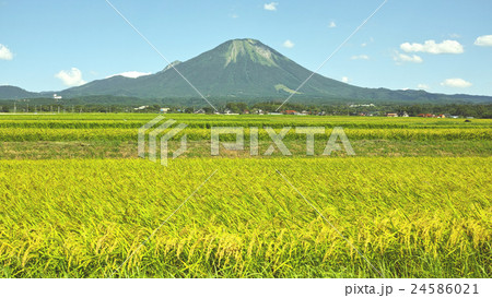 夏の大山 西麓 夏の大山 西麓 24586021