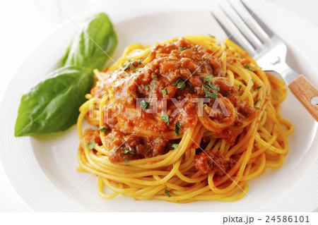 ボロネーゼ 24586101