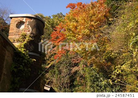 紅葉に燃える三渓園 紅葉に燃える三渓園 24587451