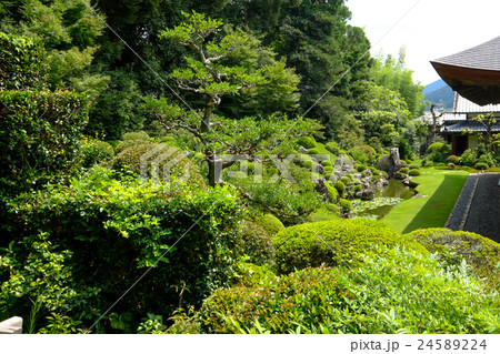 龍潭寺 庭園(霊屋より) 龍潭寺 庭園(霊屋より) 24589224