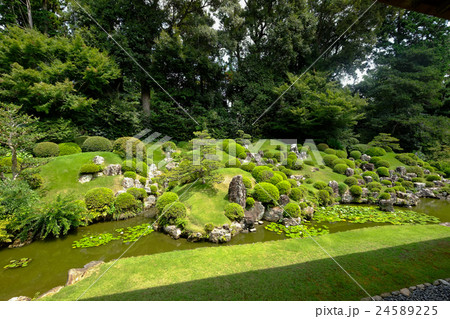 龍潭寺 庭園(左から) 龍潭寺 庭園(左から) 24589225