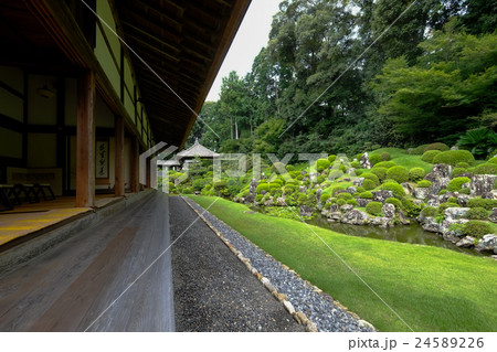 龍潭寺　庭園（廊下） 24589226