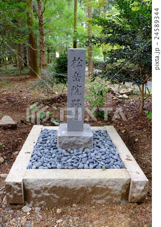 龍潭寺　松岳院跡地（縦） 24589344