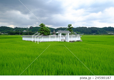井伊氏祖共保公出生の井戸（広角） 24590187