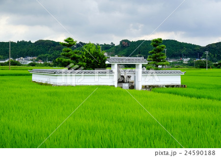 井伊氏祖共保公出生の井戸 井伊氏祖共保公出生の井戸 24590188