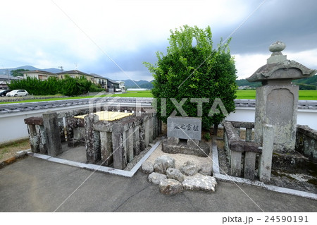 井伊氏祖共保公出生の井戸（敷地内右から） 24590191