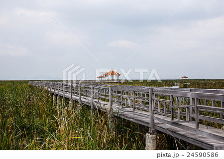 Khao Sam Roi Yod National Park, Thailand. 24590586