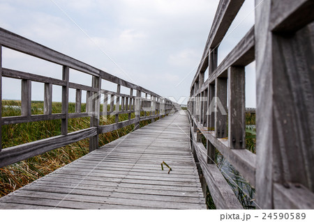 Khao Sam Roi Yod National Park, Thailand. 24590589