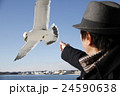 海鳥と男性 24590638