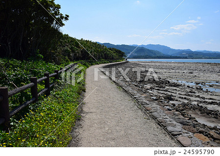 青島と青島神社 (宮崎県宮崎市) 青島と青島神社 (宮崎県宮崎市) 24595790