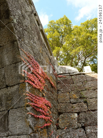 石橋の紅葉 24596137
