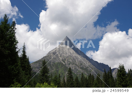 Celestial Peak Celestial Peak 24599549