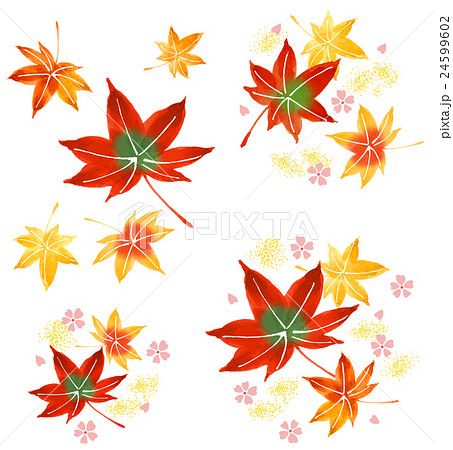 紅葉 24599602