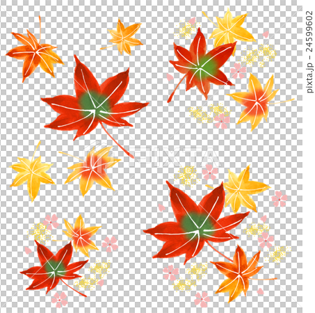 Autumn leaves 24599602