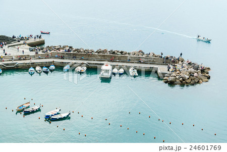 yachts docked in mediterranean port of Alassio on italian Riviera, Liguria, Italy 24601769