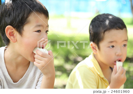 梨園で梨をたべる子供 24601960