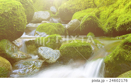 Cascading Waterfall Cascading Waterfall 24602176