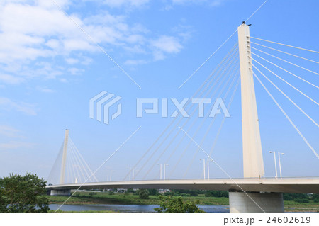 府中四谷橋と青空 24602619