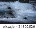 鮎が登る河川 24602629
