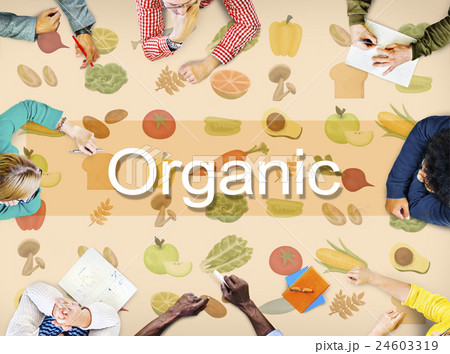Organic Nutrition Nature Ingredients Agriculture Concept Organic Nutrition Nature Ingredients Agriculture Concept 24603319