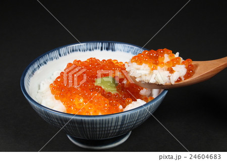 いくら丼 24604683