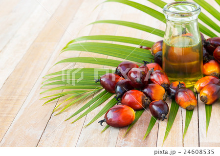 Commercial palm oil cultivation. Since palm oil  24608535