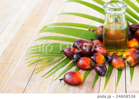 Commercial palm oil cultivation. Since palm oil  24608536