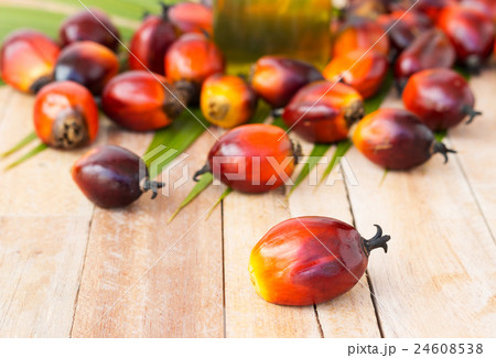 Commercial palm oil cultivation. Since palm oil  24608538