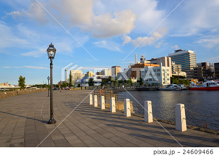 快晴の日の像の鼻パーク 快晴の日の像の鼻パーク 24609466