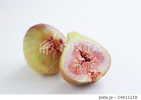 いちじく　イチジク　無花果 24611256