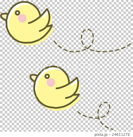 飛んでいる鳥（黄色） 24611278
