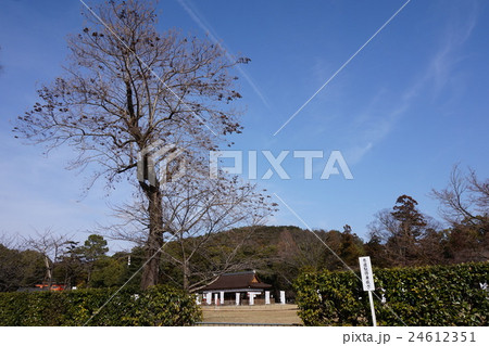 京都　上賀茂神社 24612351