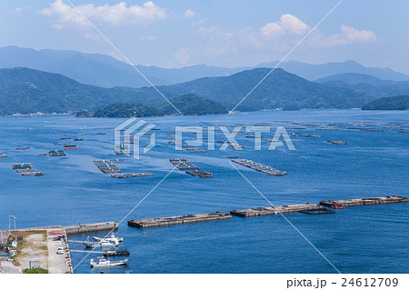 宇和海の養殖筏と漁船（愛媛県宇和島市遊子水荷浦） 24612709