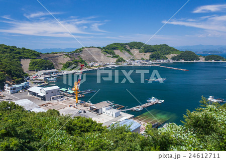 遊子水荷浦の段畑（愛媛県宇和島市） 24612711
