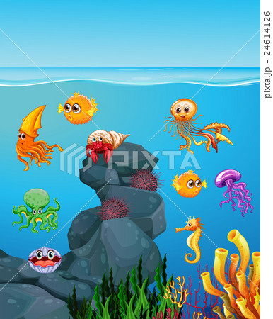 Sea animals swimming under the sea Sea animals swimming under the sea 24614126