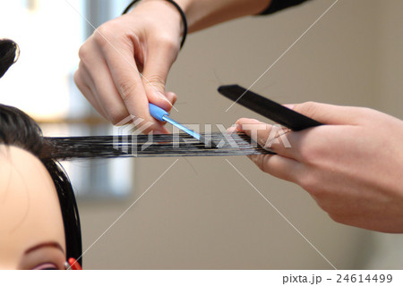 ヘアーカット　レザーカット　カット　ヘアー　ビューティー　授業風景　ヘアーサロン　髪 24614499