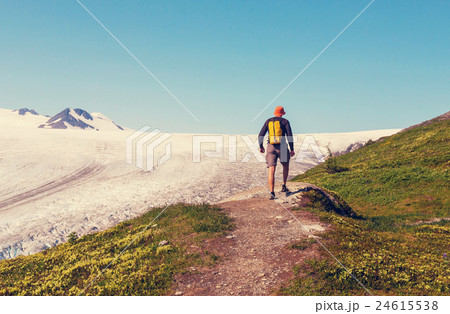 Exit glacier 24615538