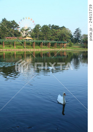 早朝の岡崎南公園（愛知県岡崎市） 24615739