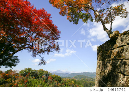 岡城跡の紅葉 24615742