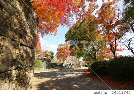 岡城跡の紅葉 岡城跡の紅葉 24615746