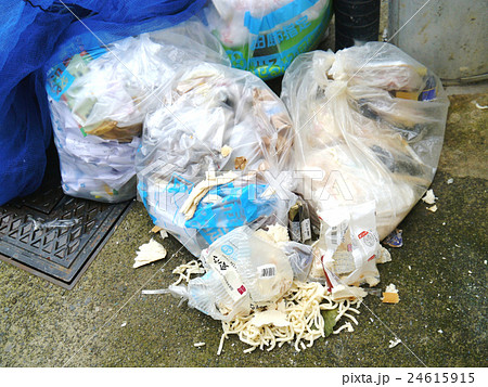 散乱した生ゴミ　うどん 24615915