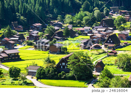 世界遺産 初秋の白川郷 世界遺産 初秋の白川郷 24616004