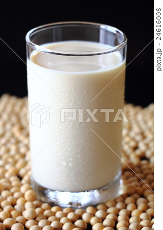 豆乳 24616008