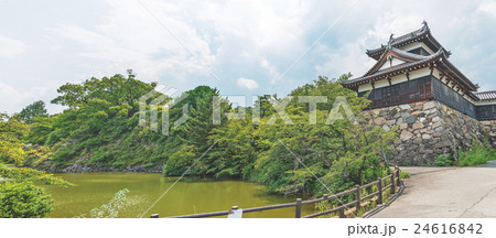 大和郡山城の風景 24616842
