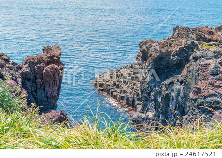 Jungmun Daepo Coast Jusangjeolli Cliff, Jeju Jungmun Daepo Coast Jusangjeolli Cliff, Jeju 24617521