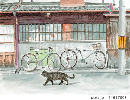 路地を猫が歩いているのイラスト素材 24617803 Pixta