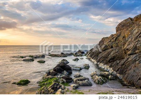 rocks and seaweed on rocky coast of the sea rocks and seaweed on rocky coast of the sea 24619015